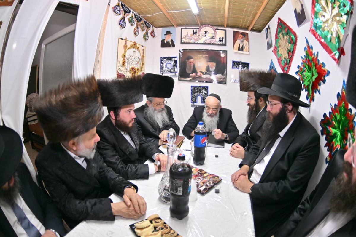 צילום: יהושע פרוכטר