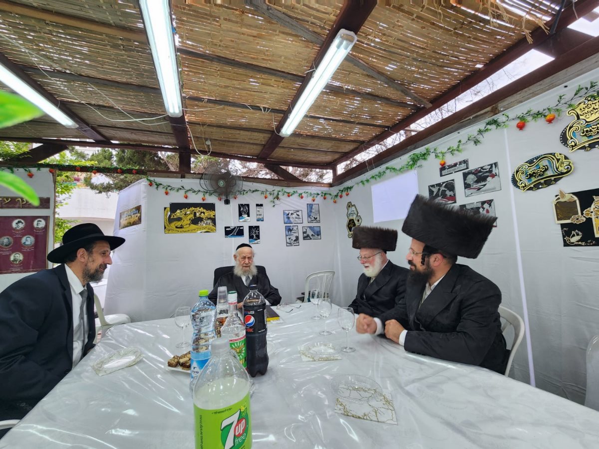 צילום: באדיבות המצלם