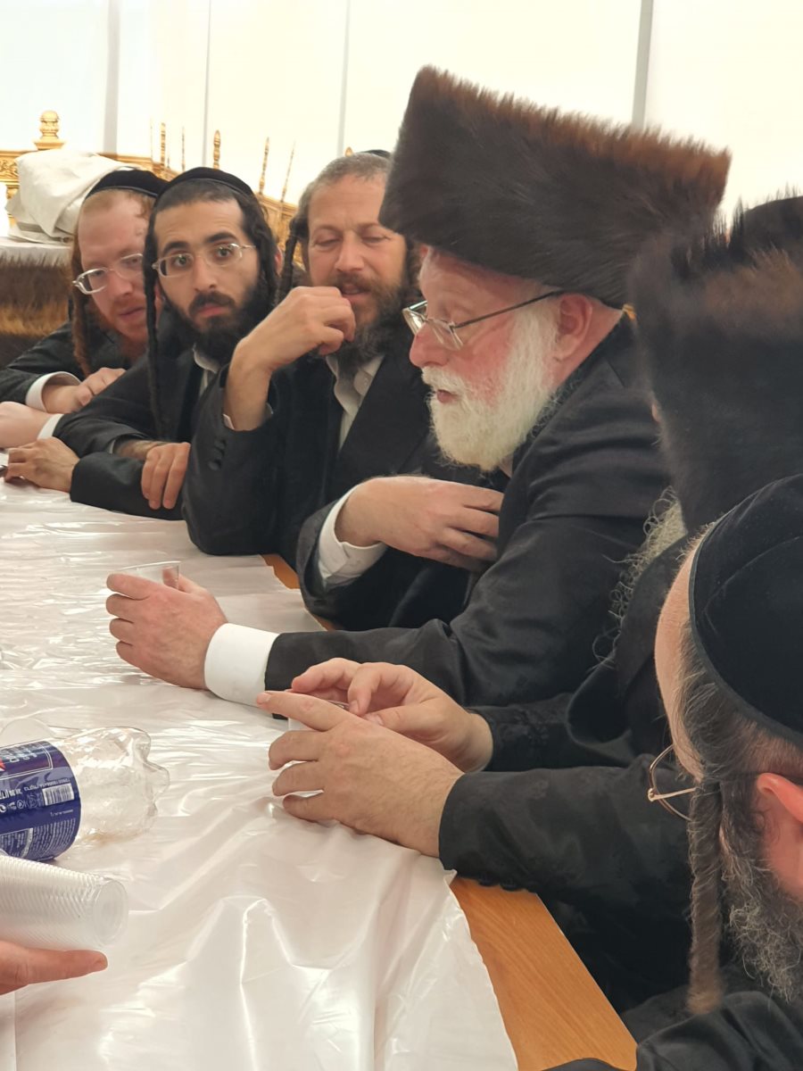 צילום: באדיבות המצלם