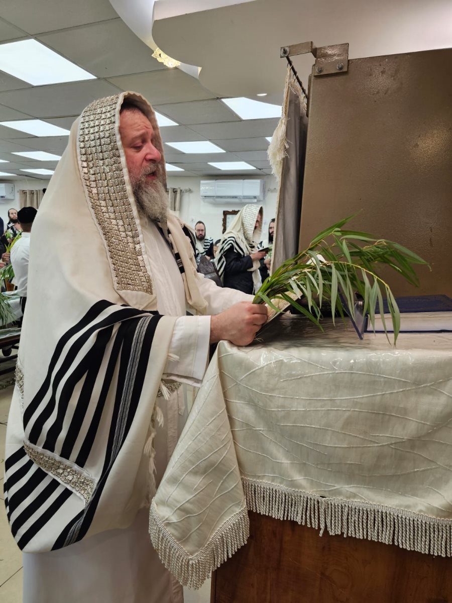 צילום: באדיבות המצלם