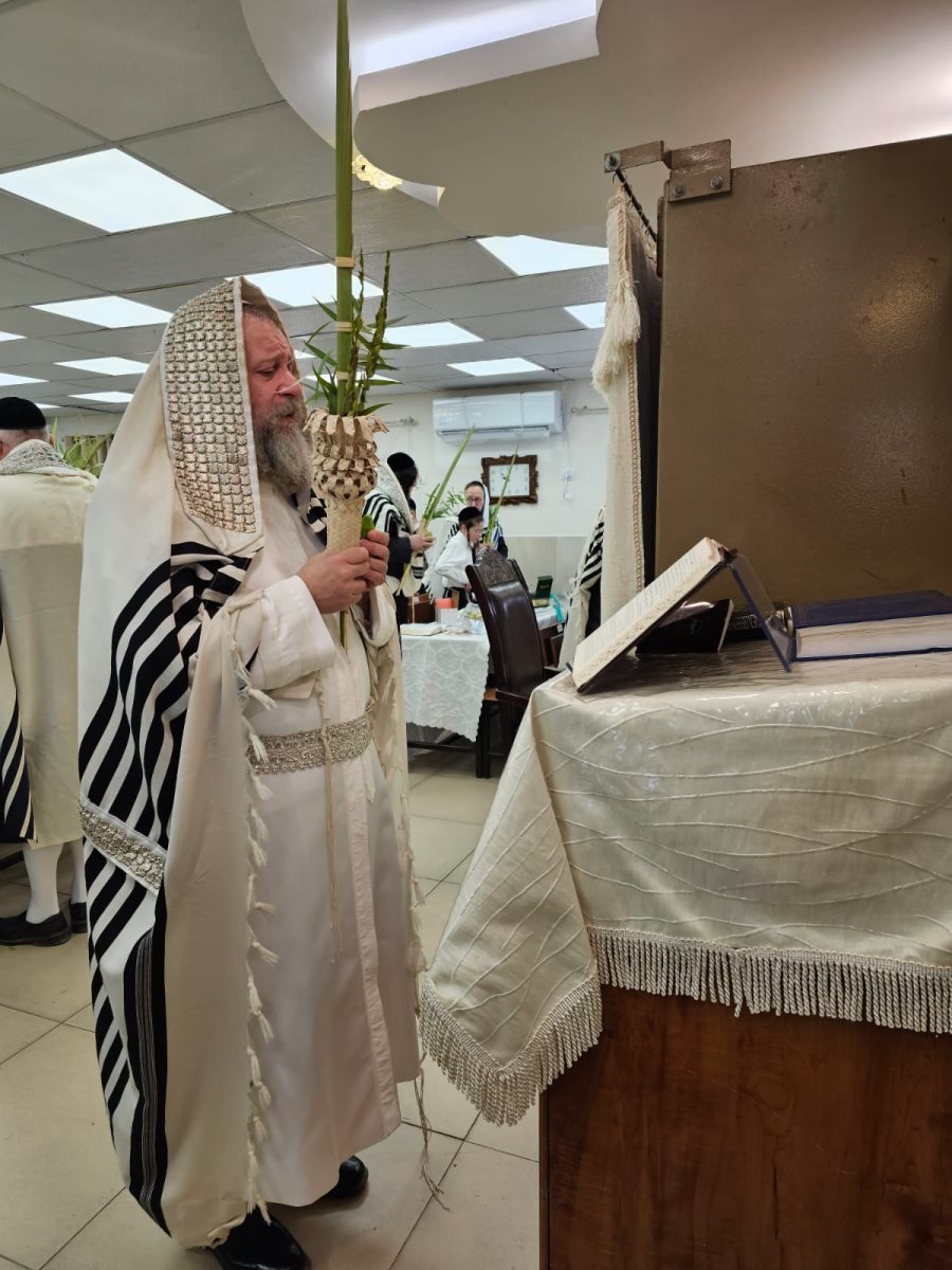 צילום: באדיבות המצלם