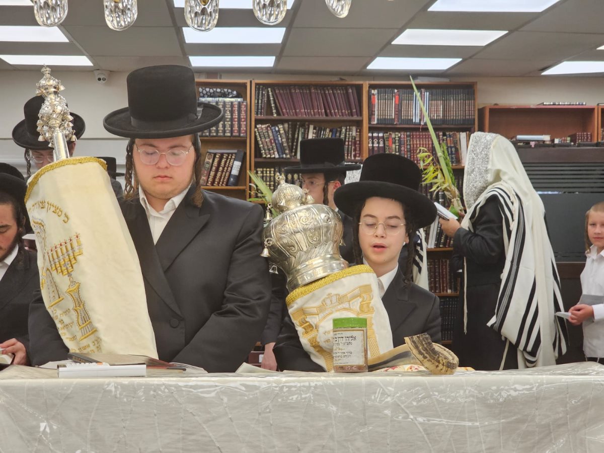 צילום: באדיבות המצלם