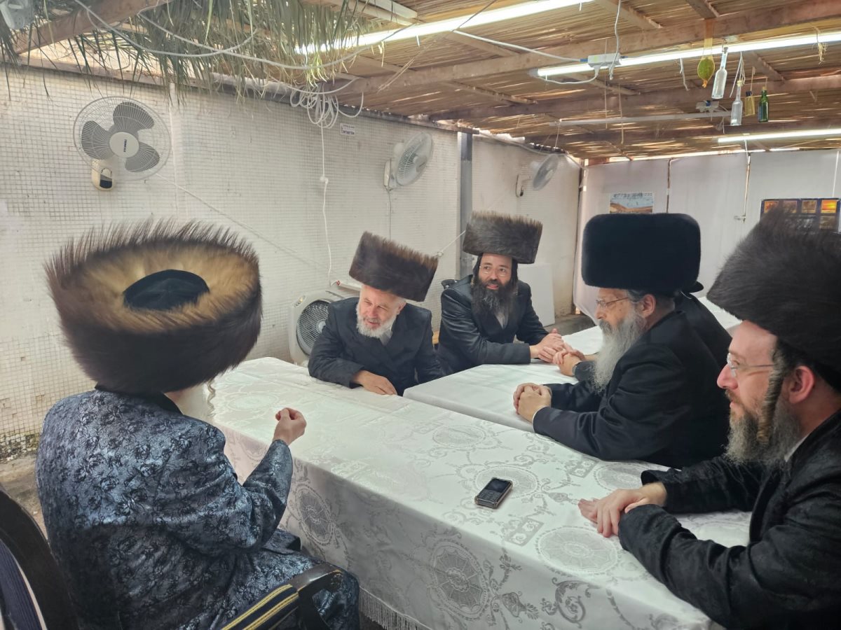 טיש דוד המלך במעליץ א.ו