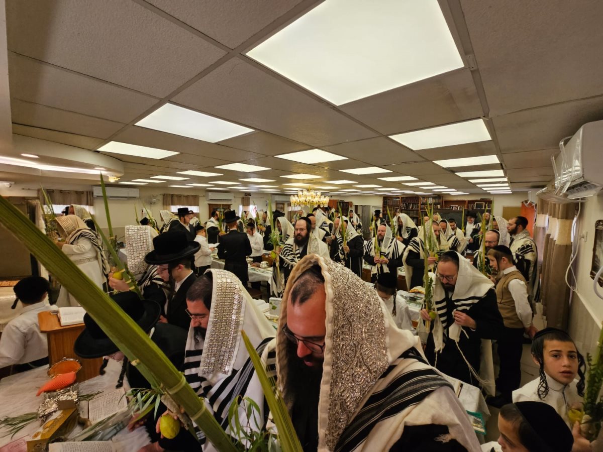 צילום: באדיבות המצלם