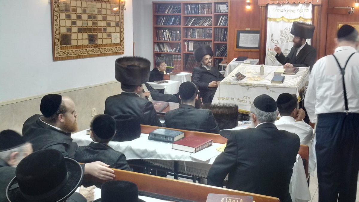 צילום: באדיבות המצלם