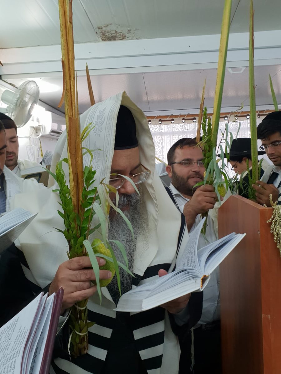 צילום: א&#39; מיכאלי