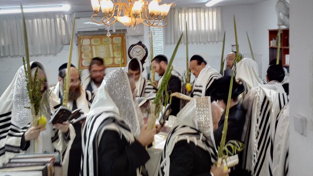 צילום: באדיבות המצלם