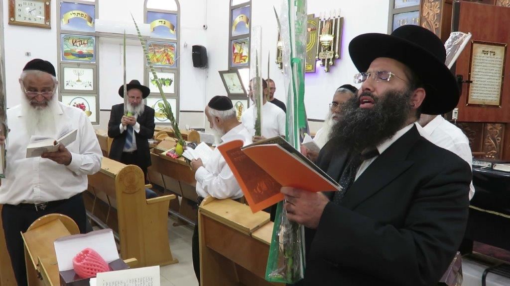 עם לולב ואתרוג בביהכנ הריבז. א&#39; מיכאלי