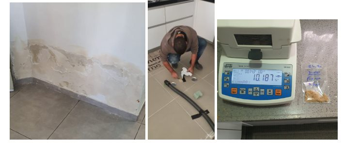 באדיבות: פלמברטק