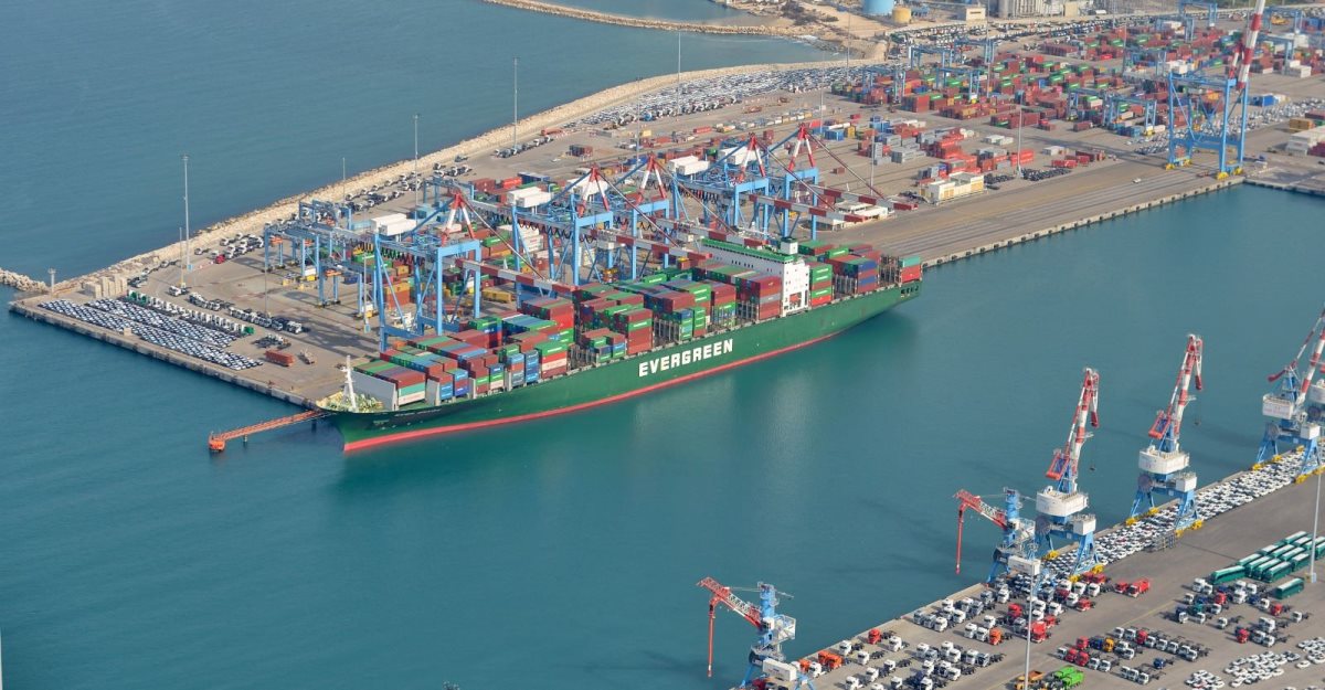 נמל פורח, גם כעת. אבי רוקח