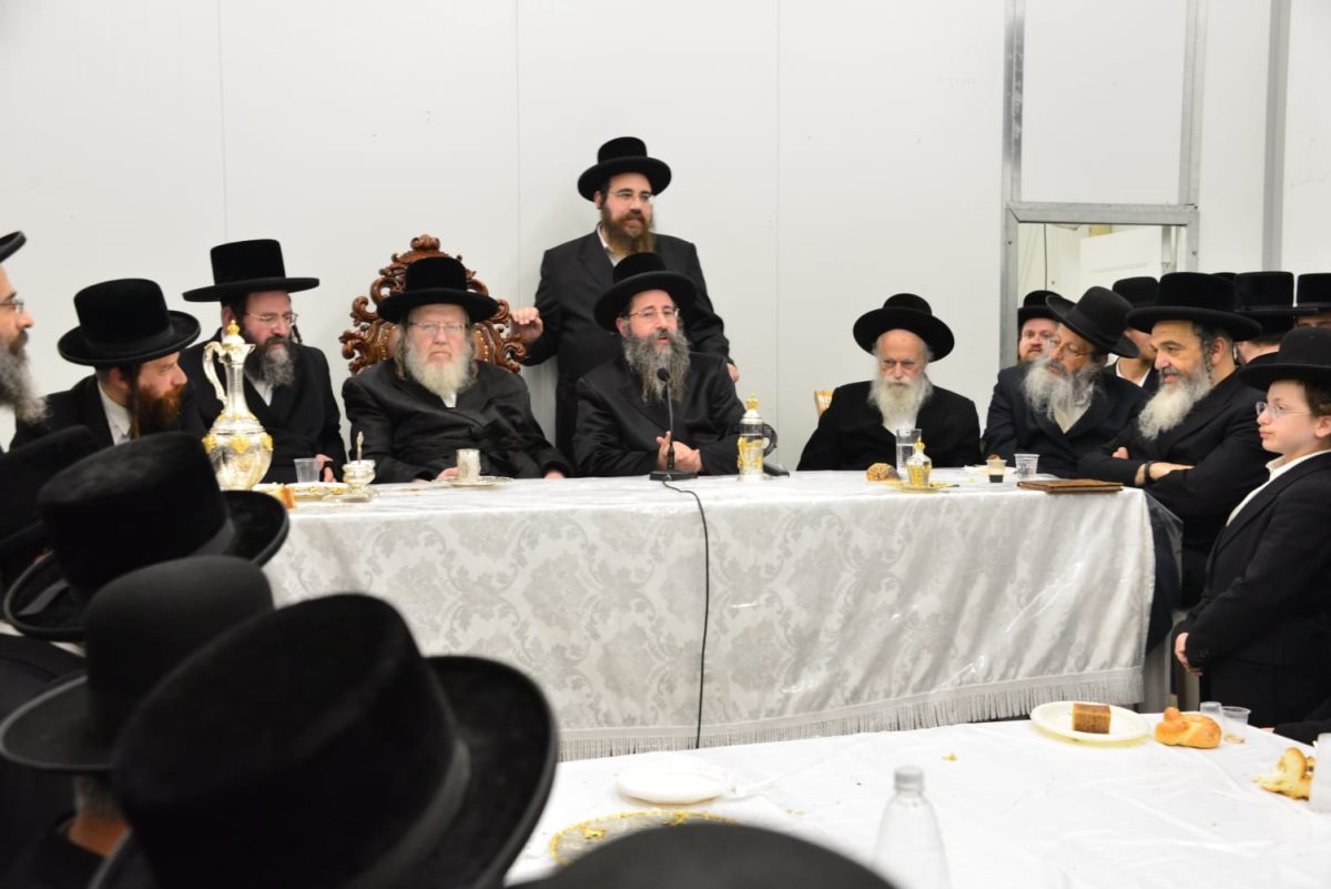 צילום: יוסי לוי