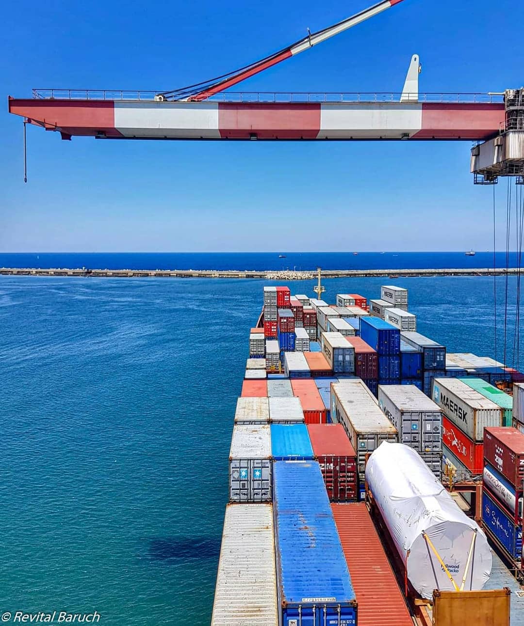 צילום: רויטל ברוך