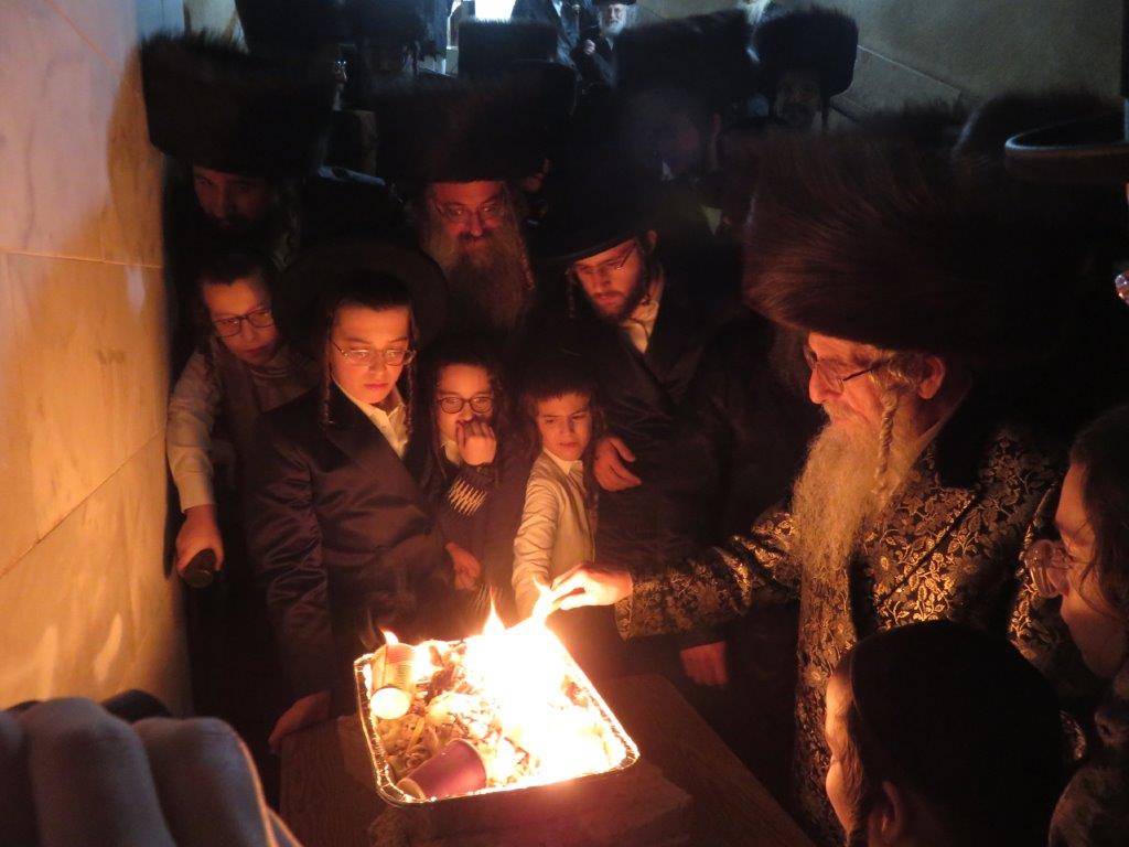 צילום: א. מיכאלי