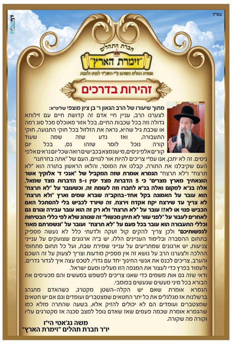 זהירות בדרכים. הקמפיין של נאגטי