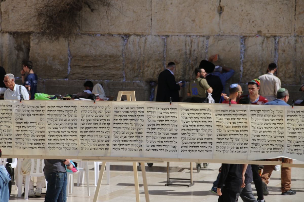 מגילת אסתר הגדולה בעולם. הקרן למורשת הכותל