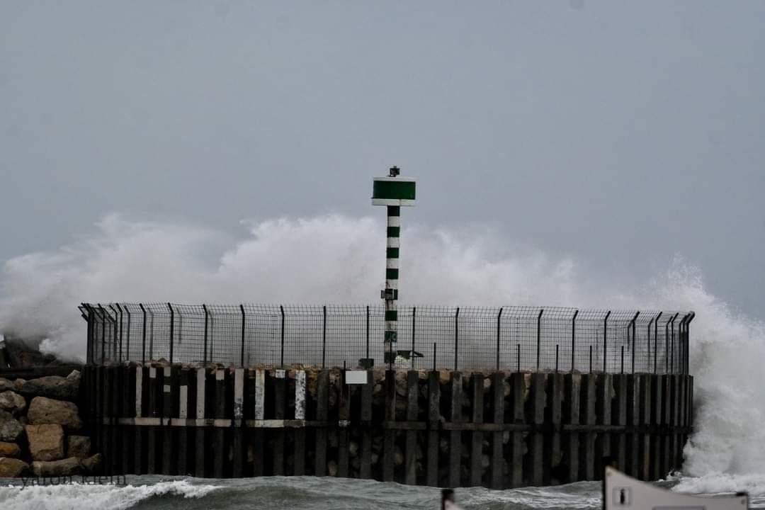 צילום: ירון קליין