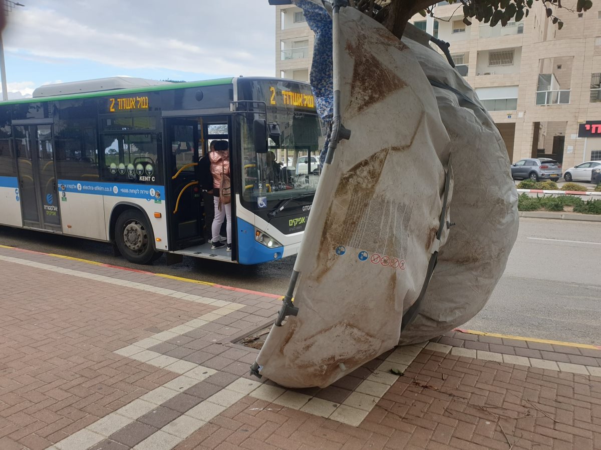 צילום: שמוליק דוד