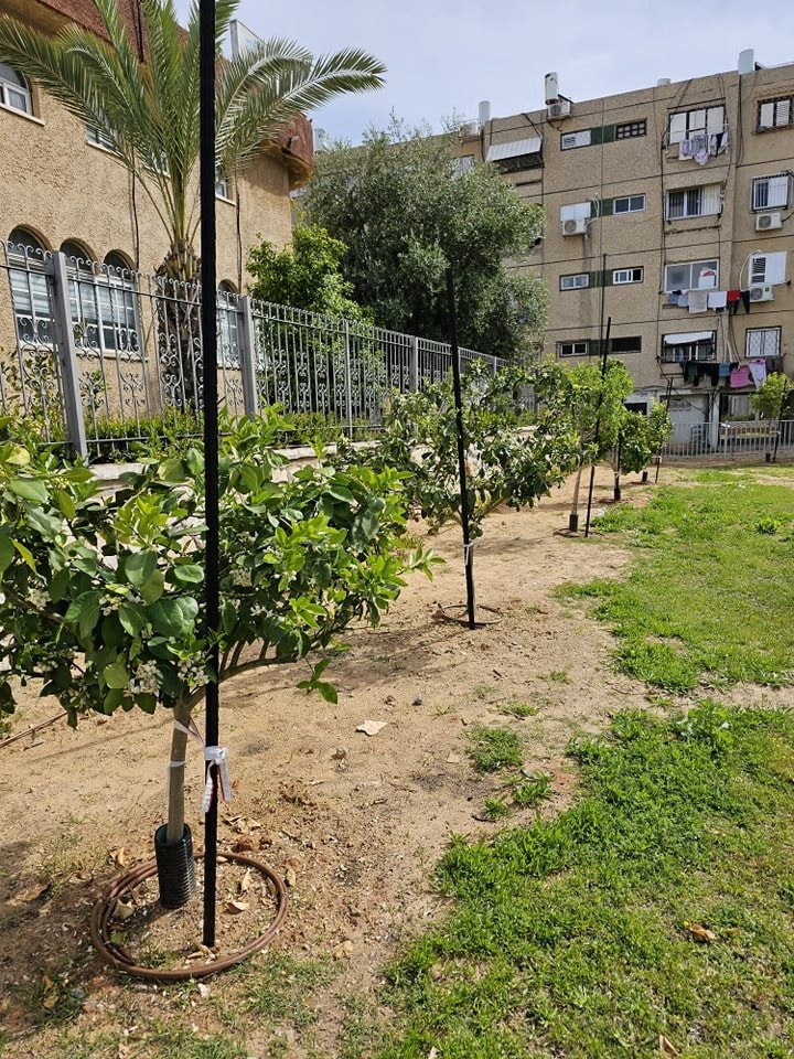 צילום: מינהלת רובע ג'