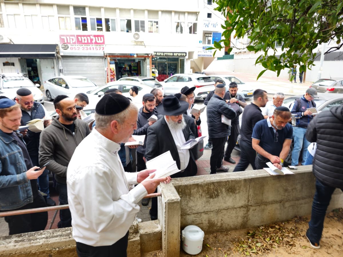 צילום: א מיכאלי