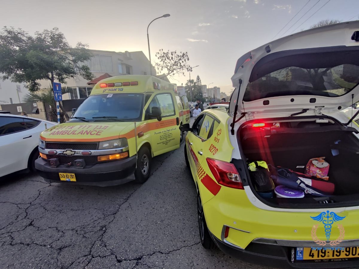 צילום: נהז לברון