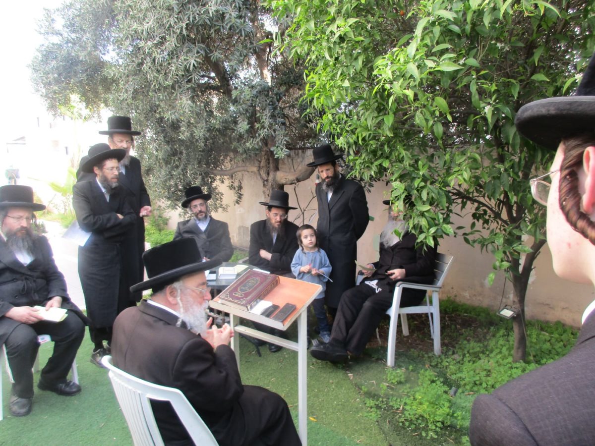 ברכת האילנות הגרימ ארלנגר