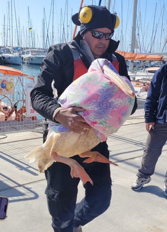 צילום: שגיא מרום רשות הטבע והגנים