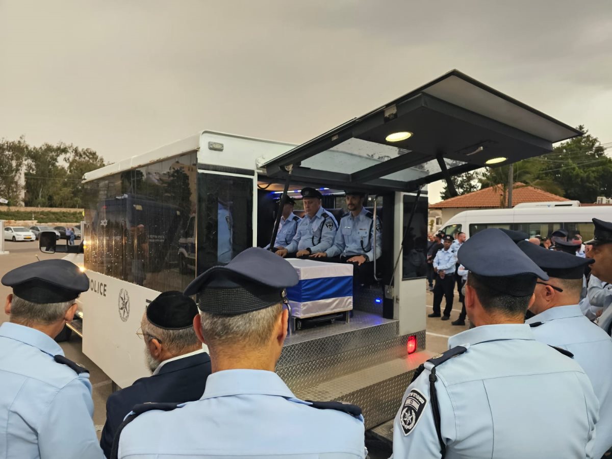 צילום: עופר אשוטקר