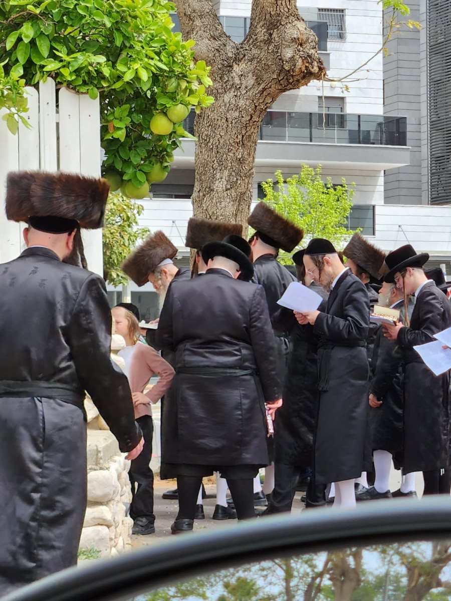 צילום: באדיבות המצלם