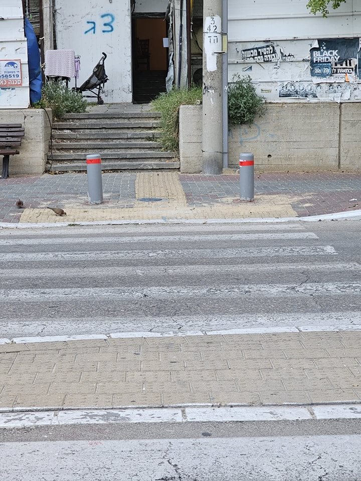 צילום: מינהלת רובע ג&#39;