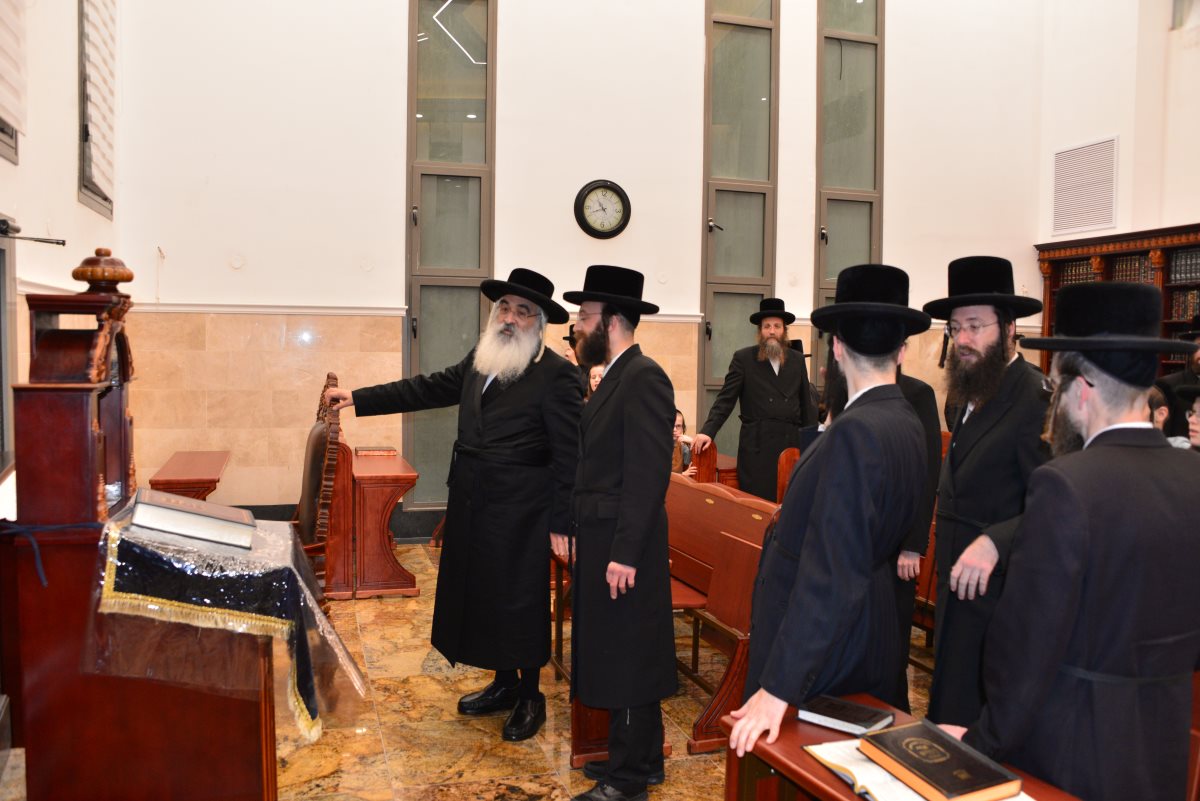 צילום: יוסי לוי