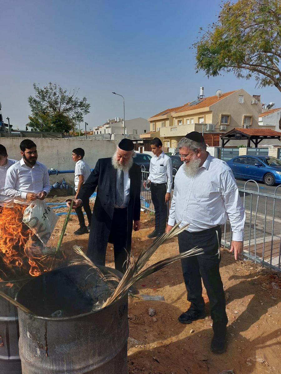 צילום: באדיבות המצלם