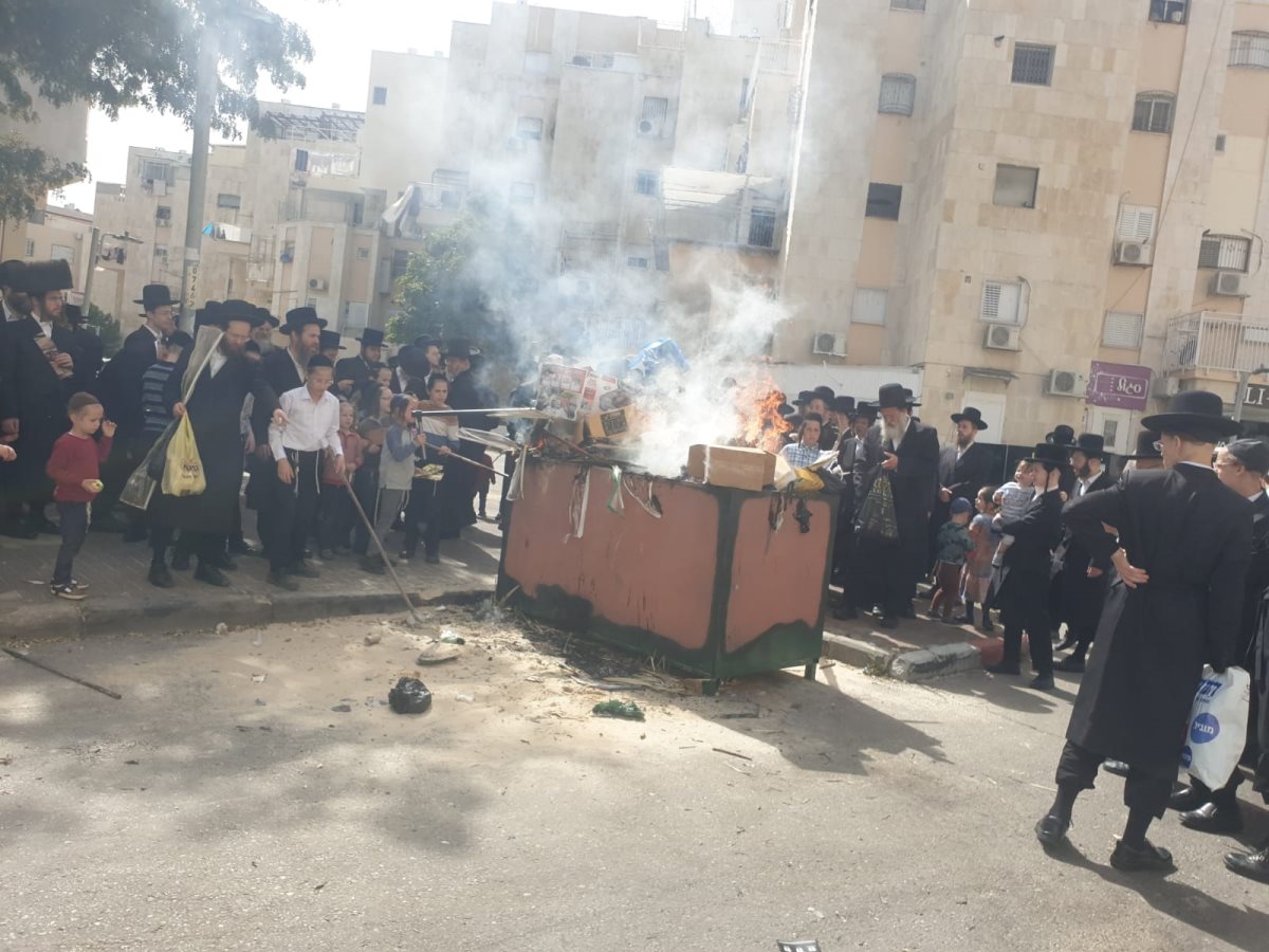 צילום: באדיבות המצלם