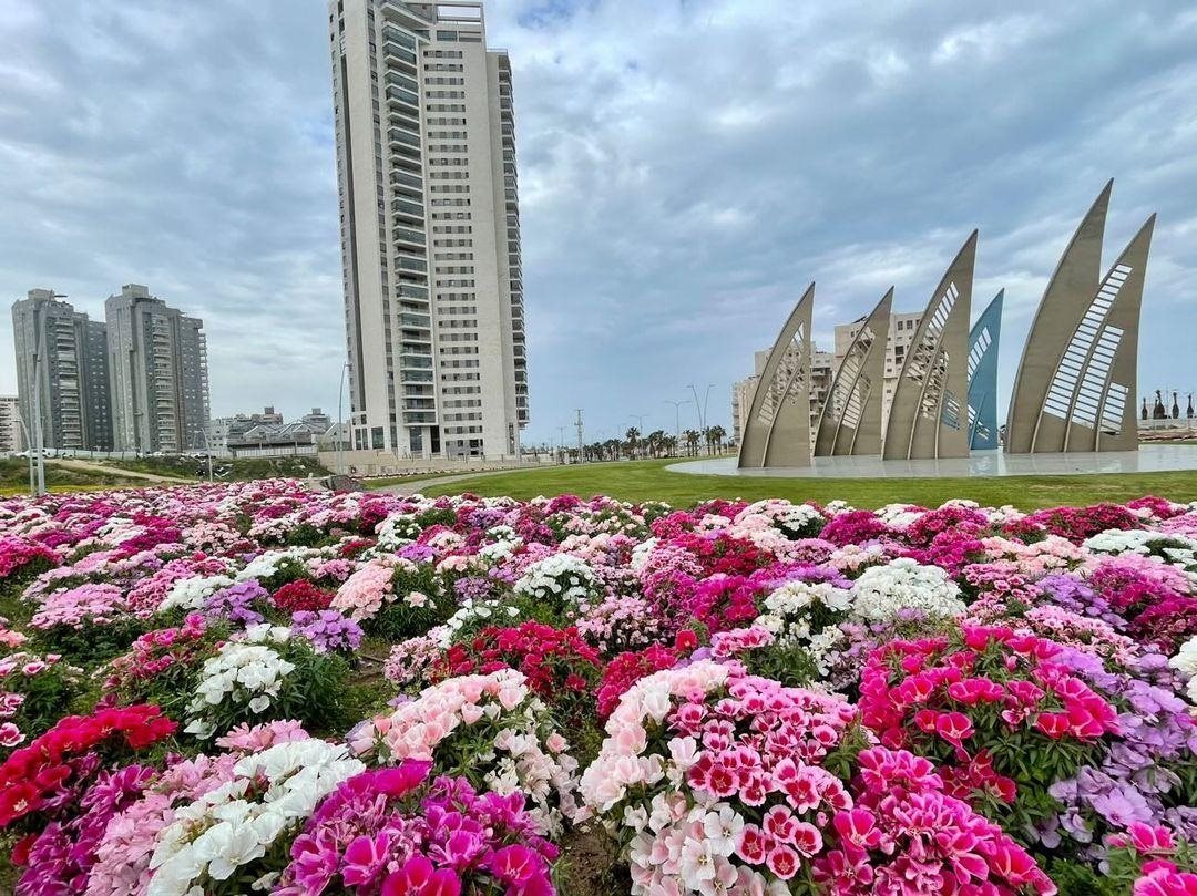 מני בן ארוש