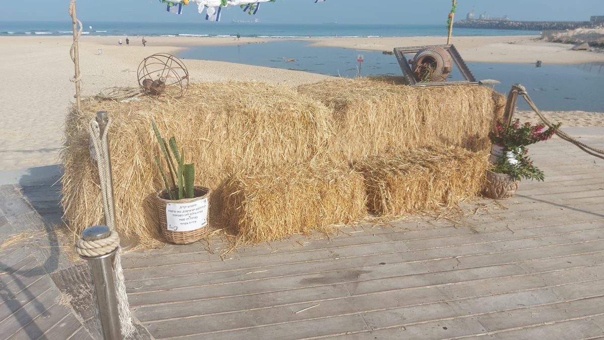 צילום: שמוליק דואק