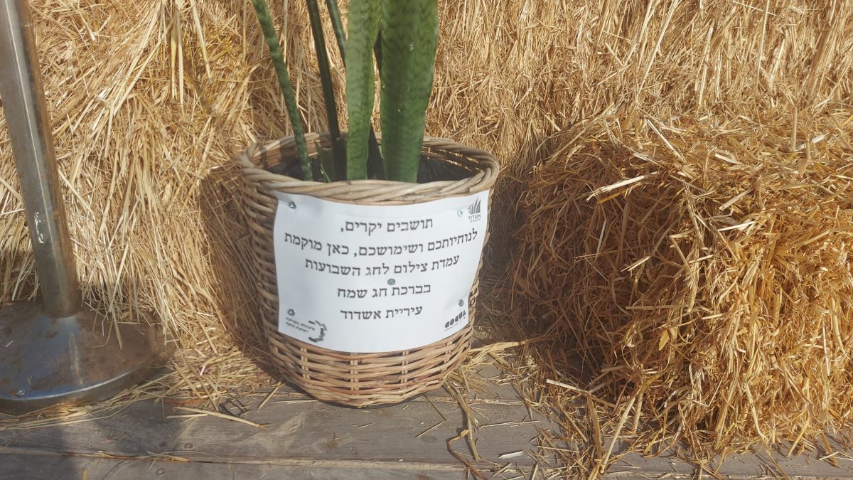 צילום: שמוליק דואק