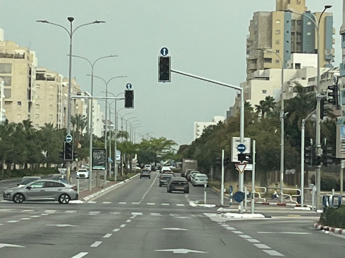 צילום: טליה