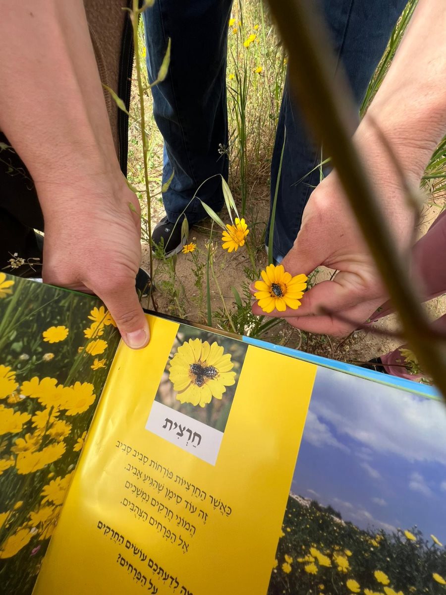 צילום: יובלים