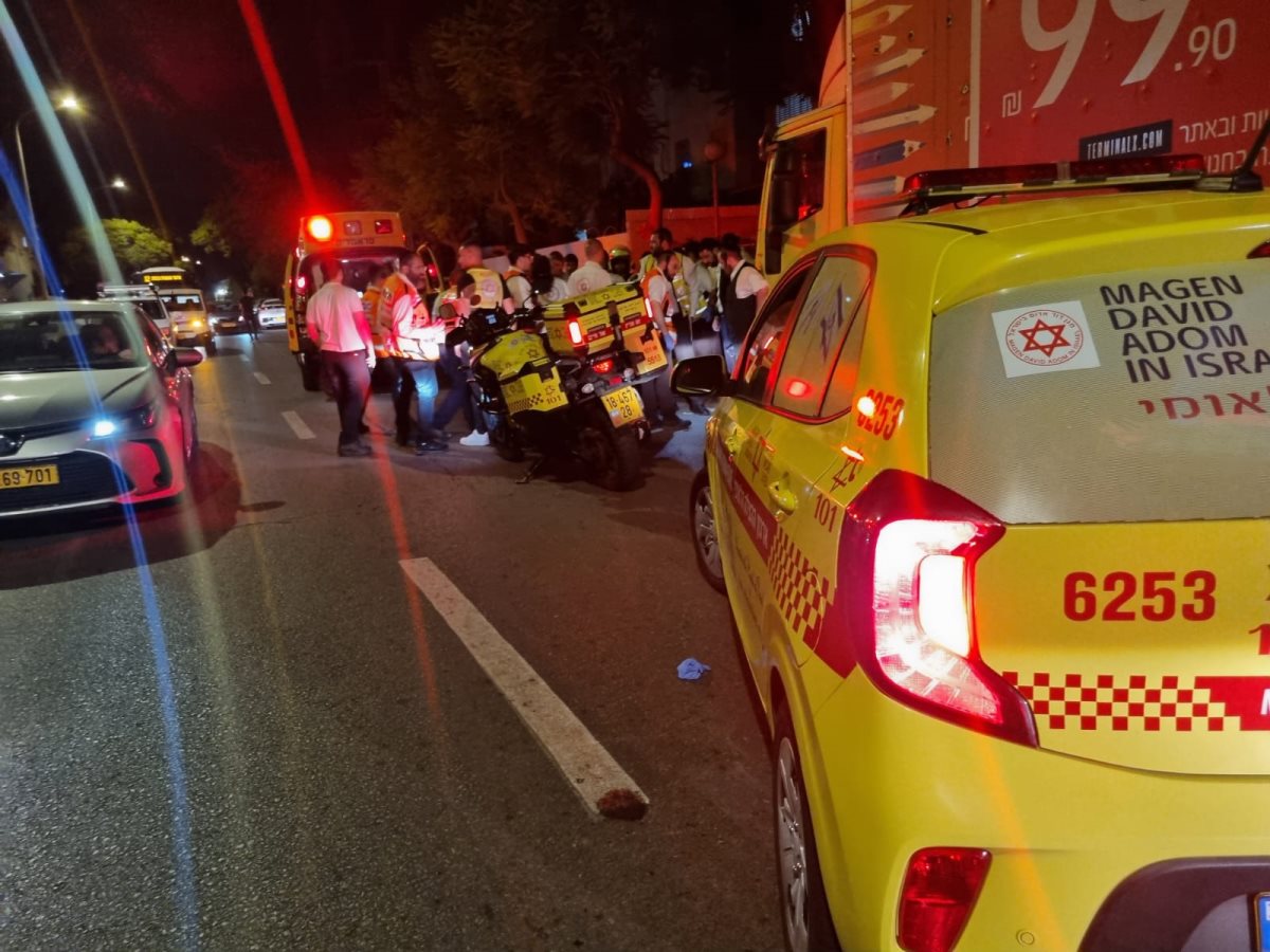 צילום: נהז לברון