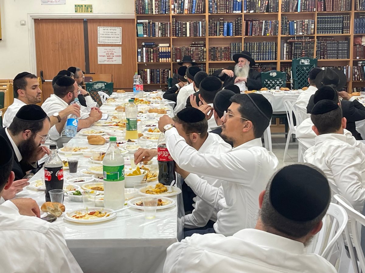 צילום: א&#39; מיכאלי