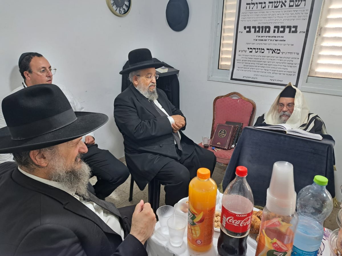 צילום: א' מיכאלי