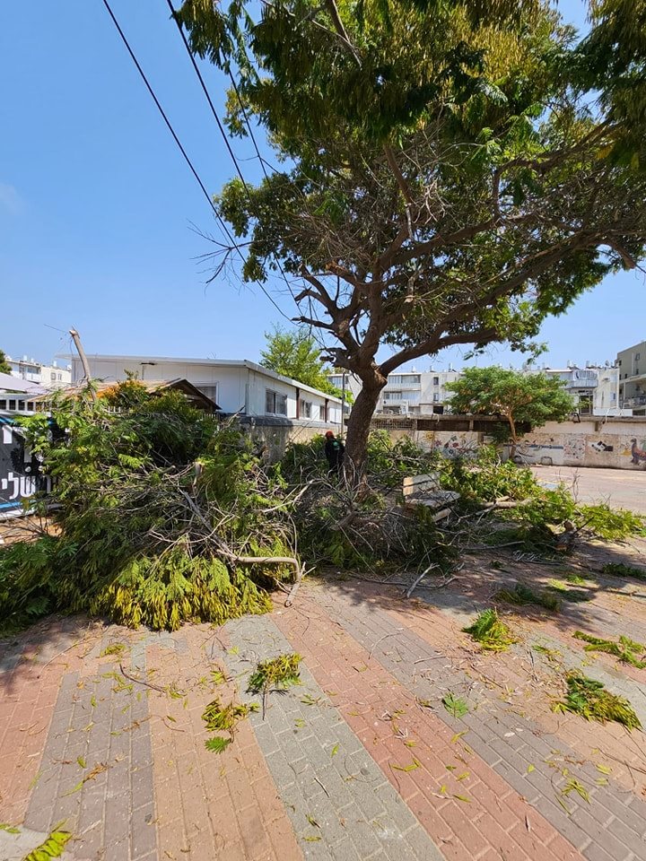 מינהלת רובע ג&#39;