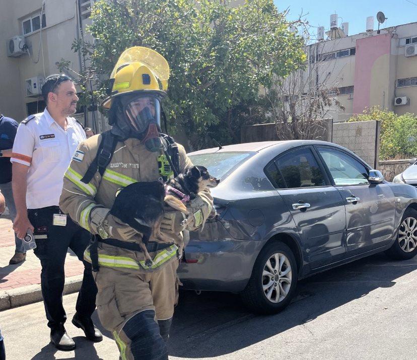 לוחם האש עם הכלב שחולץ