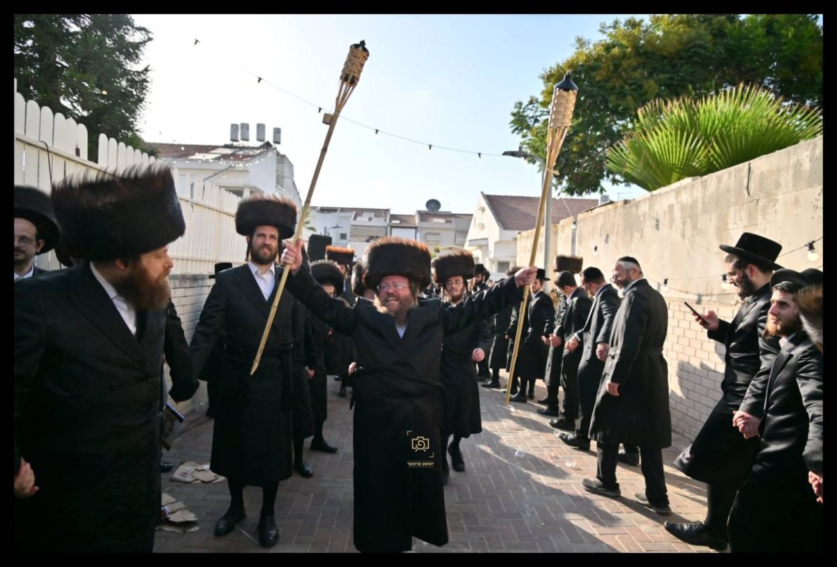 צילום: יהושע פרוכטר