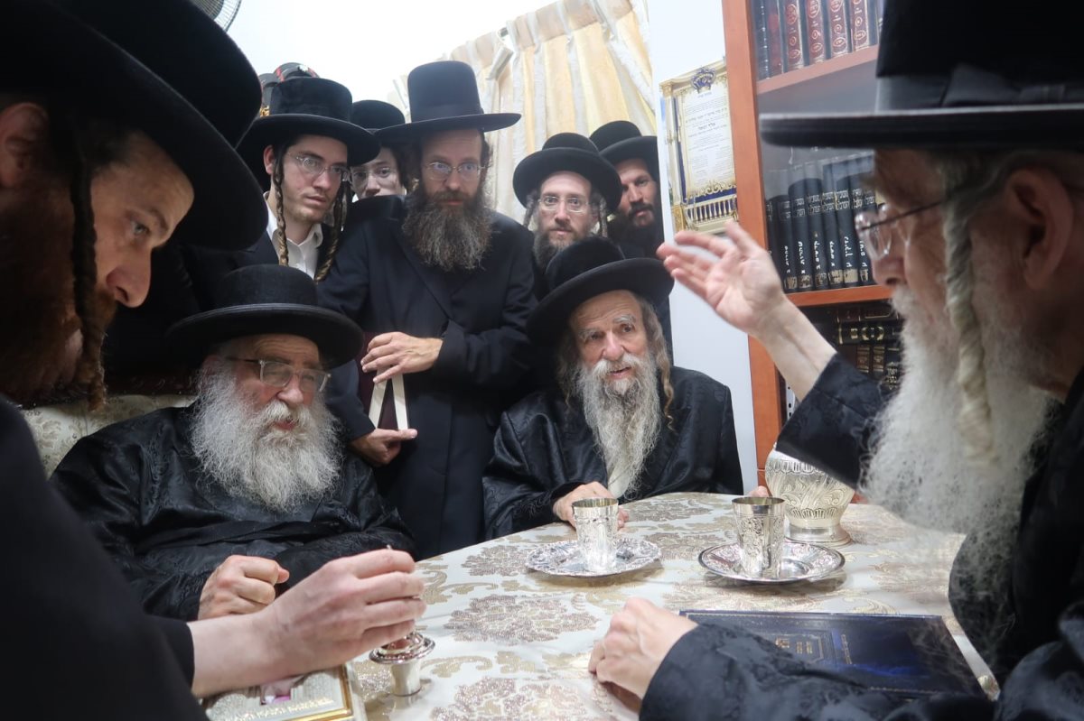 צילום: עדכוני חצר מעליץ