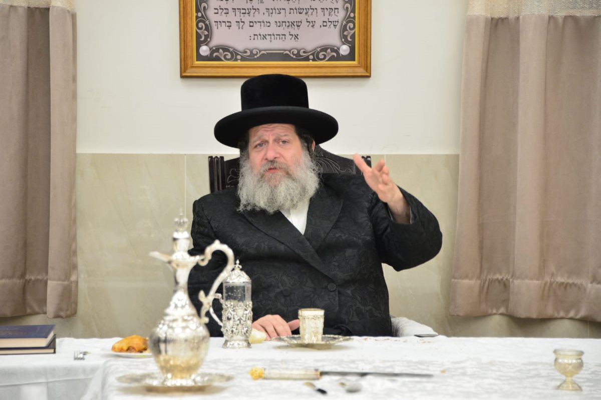 צילום: יוסי לוי