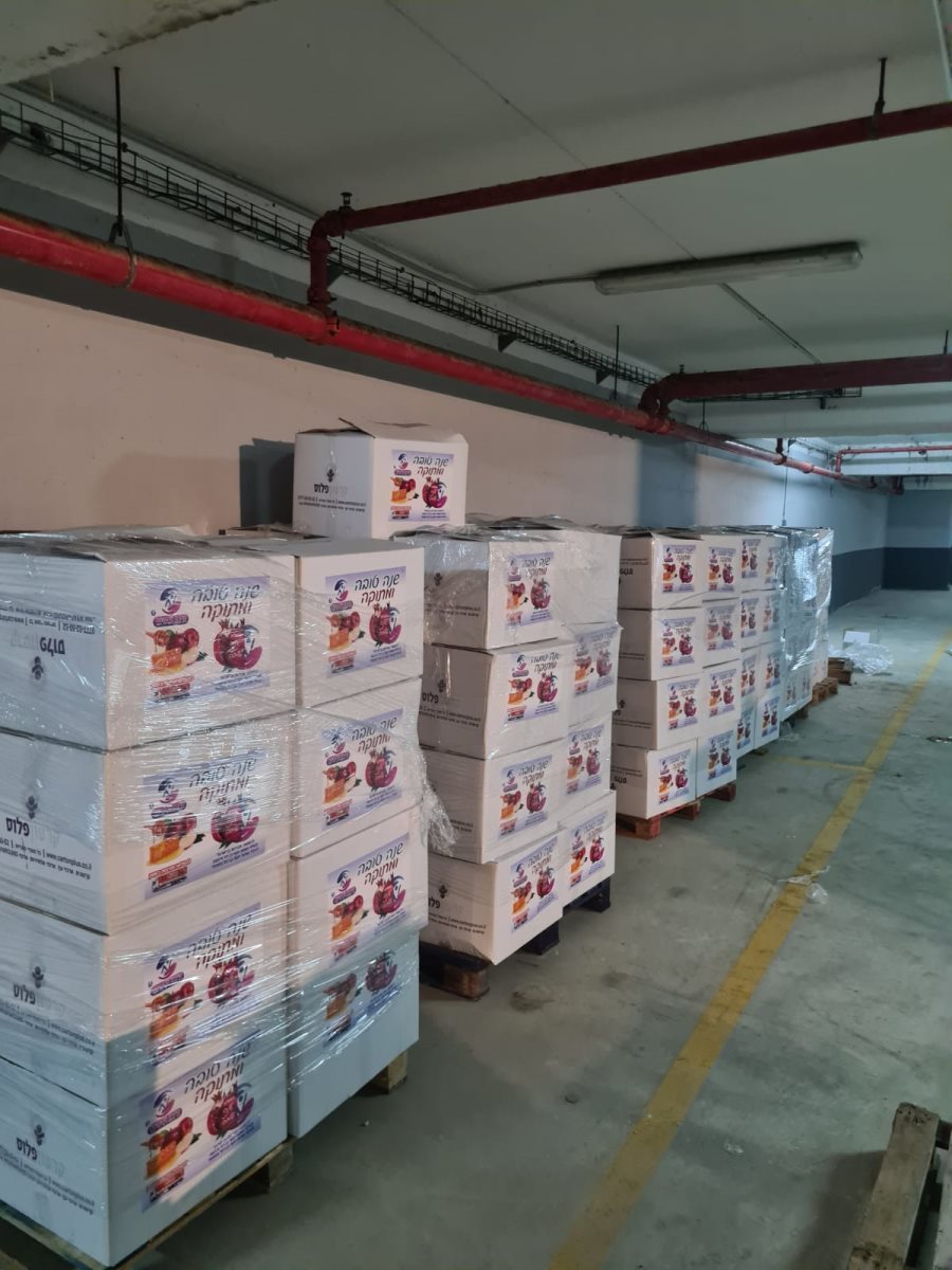 צילום: באדיבות המצלם