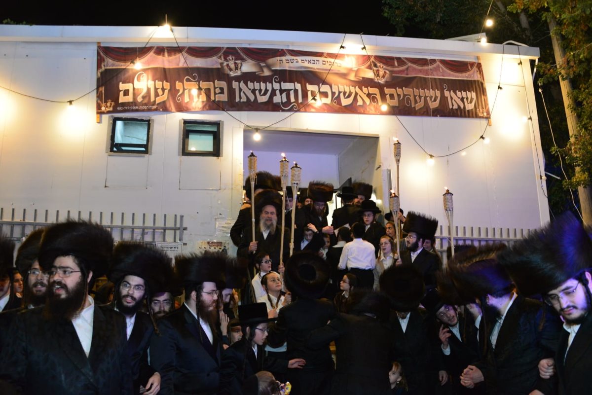 צילום: יוסי לוי