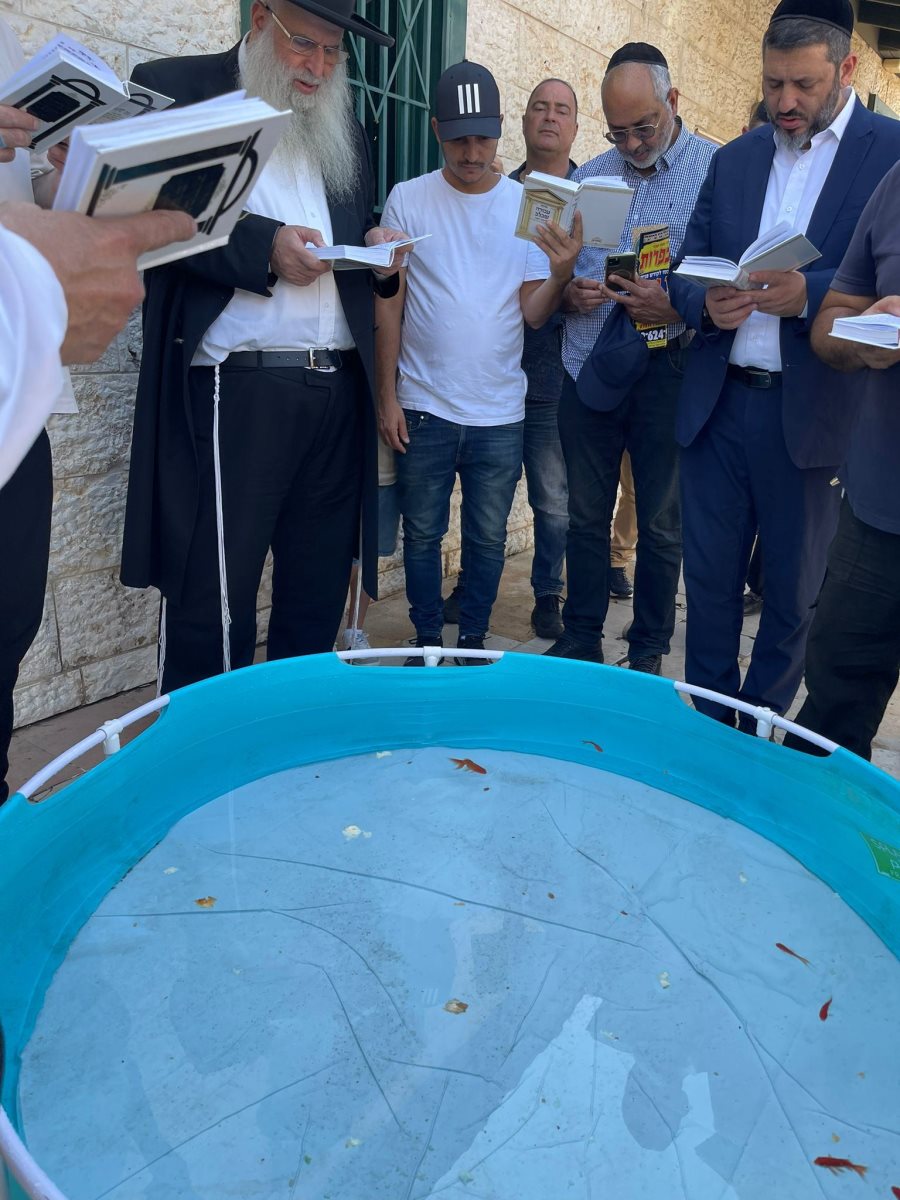 תשליך עם רבי מאיר אבוחצירא. א&#39; מיכאלי