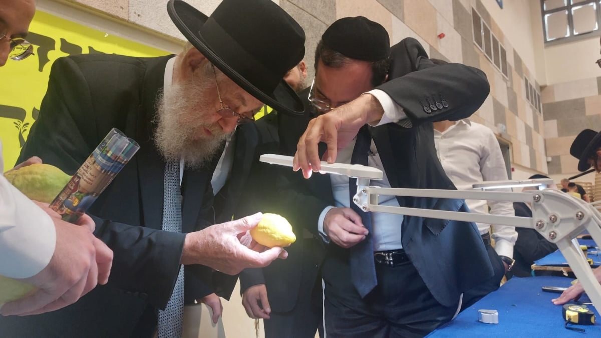 הרב שיינין בבדיקת אתרוג. המצלם