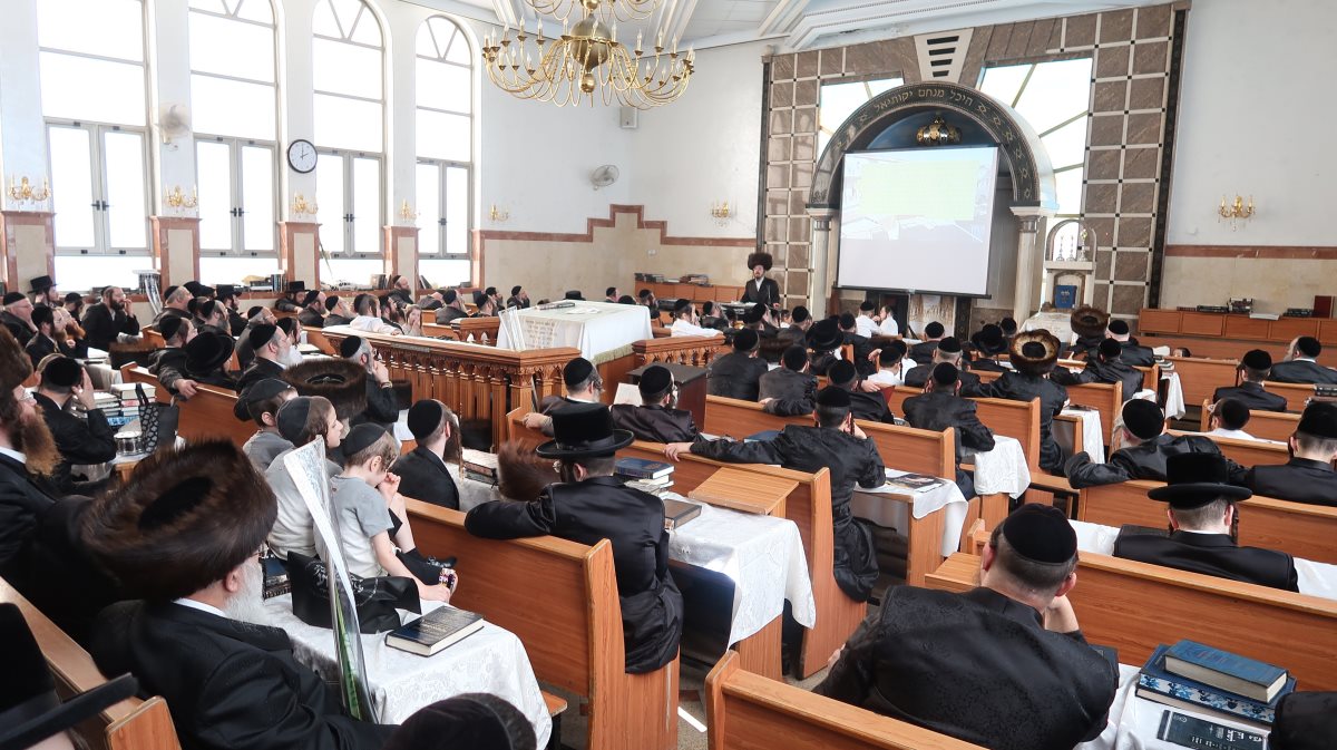 שיעורי תורה מעגלים. 